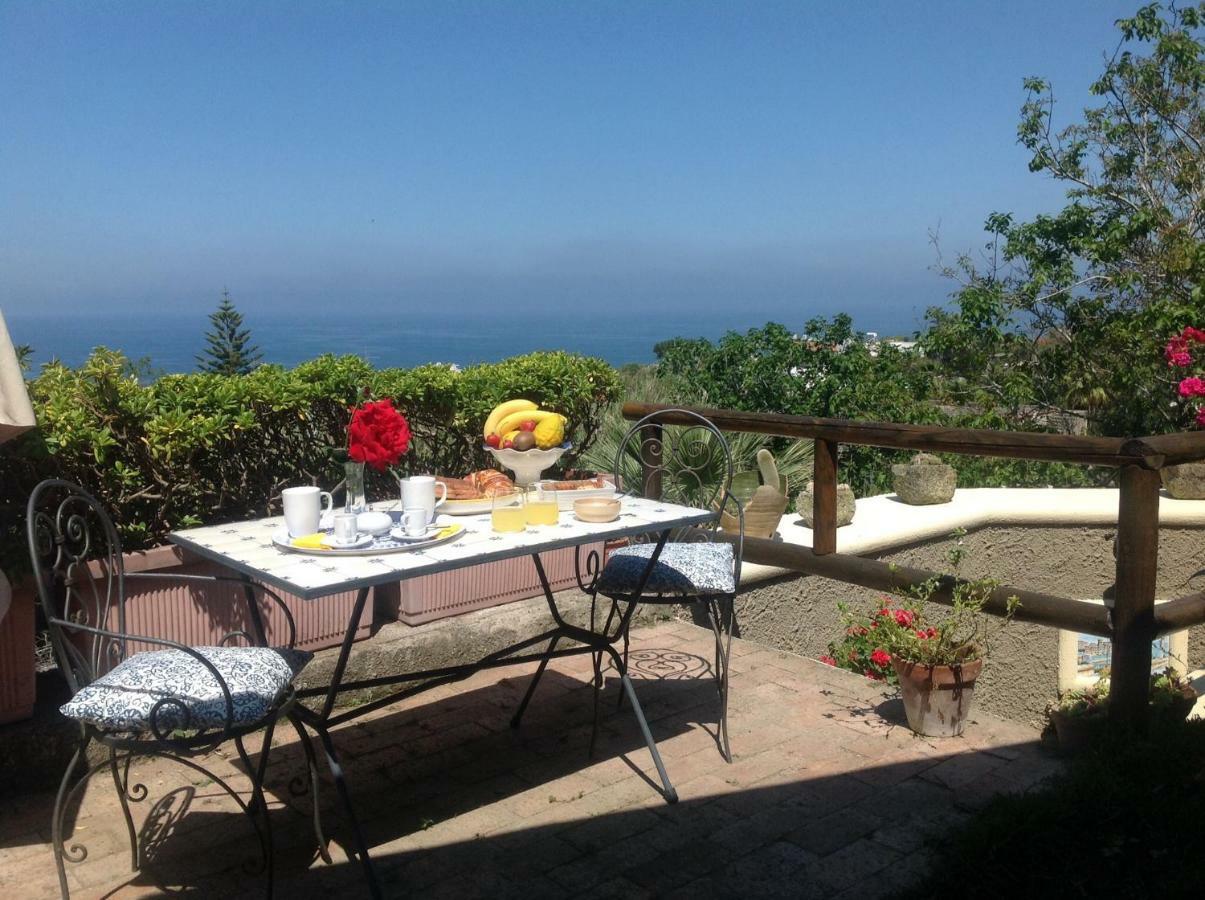 La Terrazzina Sul Tramonto Bed & Breakfast Forio  ภายนอก รูปภาพ