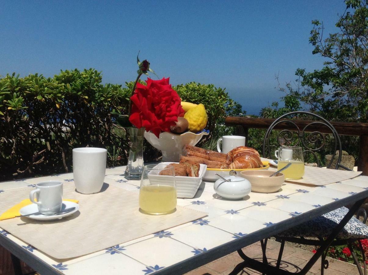 La Terrazzina Sul Tramonto Bed & Breakfast Forio  ภายนอก รูปภาพ